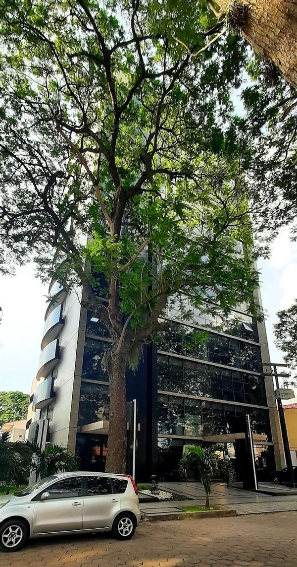 La maison de Mauricio
