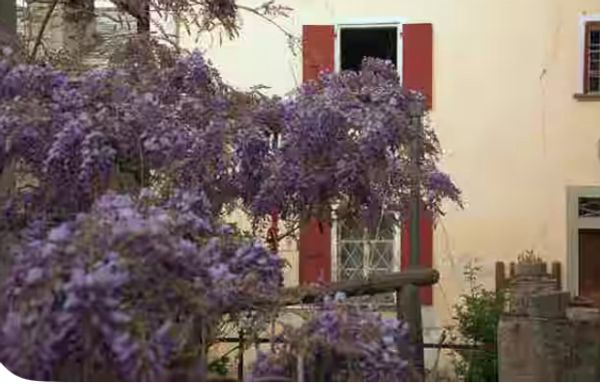 La maison de Le