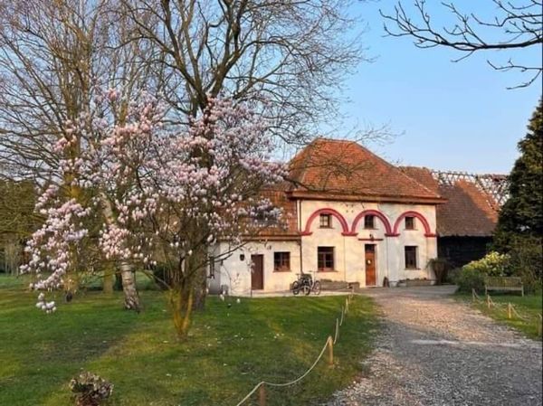 La maison de Dries