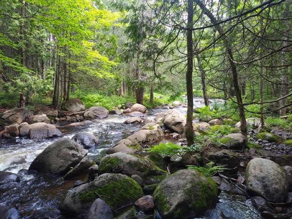 Le petit paradis au bord de la rivière