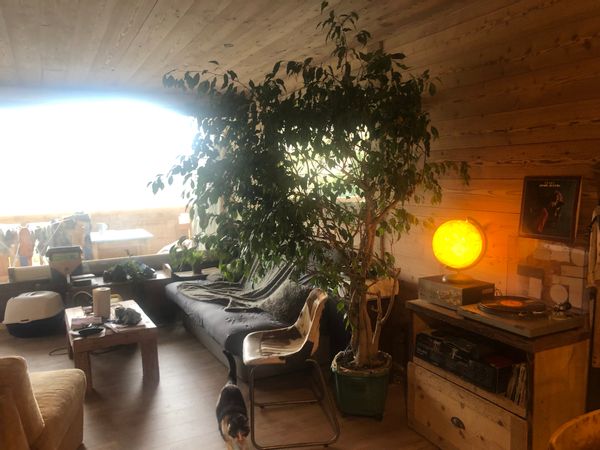 ⚠️PAS DISPO PENDANT L’HIVER!!!!!!⚠️Chez Hadrien, Marie & Max, & Bamboche
