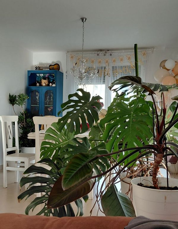 La maison de Beatriz