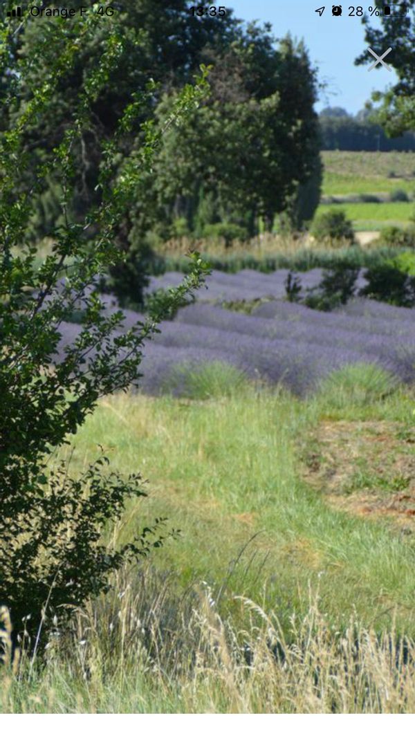 La maison de Charlotte a VALREAS dans le vaucluse