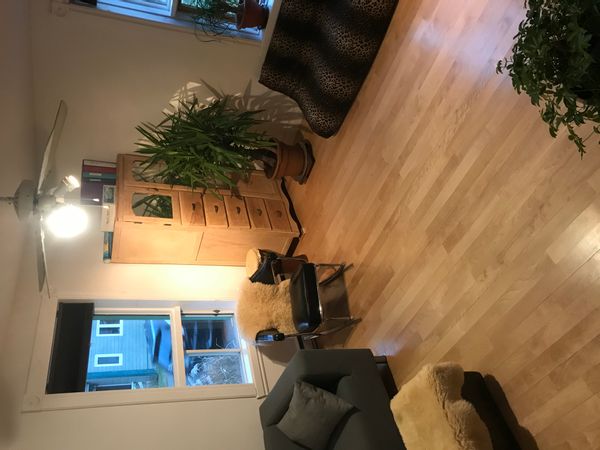 La maison jaune et turquoise sous les grands pins