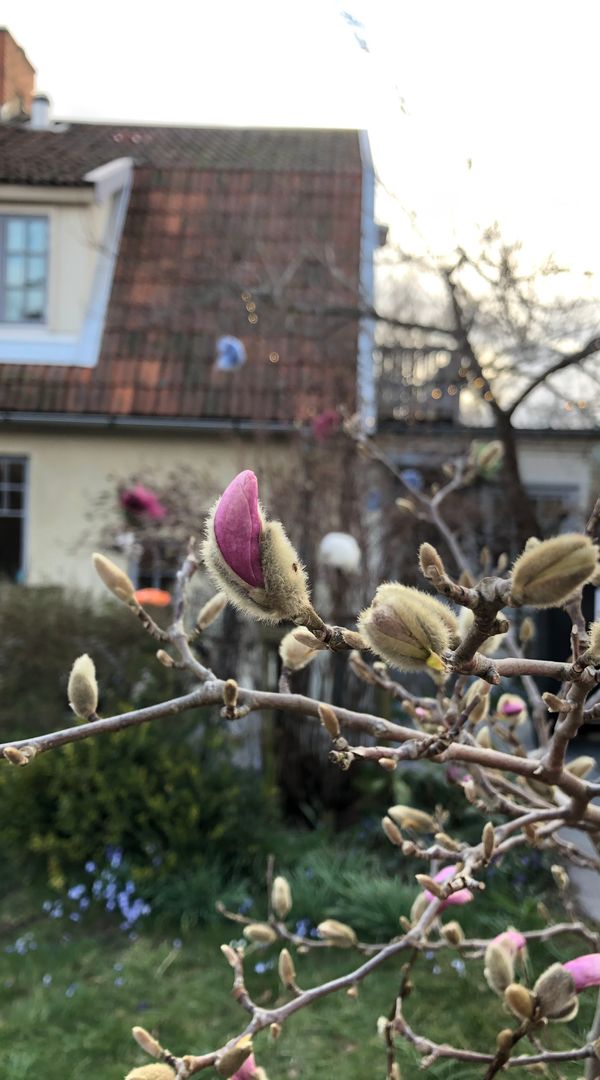 La maison de Karolina