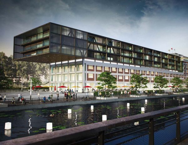 Un nid au bord de l'eau à Strasbourg