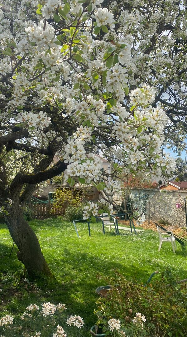 Une grande chambre avec douche dans la maison de Lise Salon, cuisine et jardin partagés