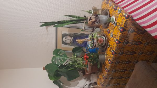 La maison de Sara