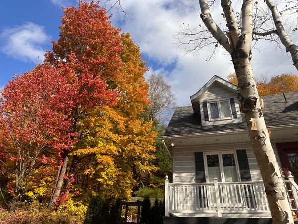 Charmante maison canadienne au cœur des Laurentides.