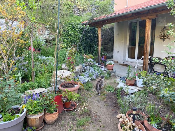 La maison de Georgia