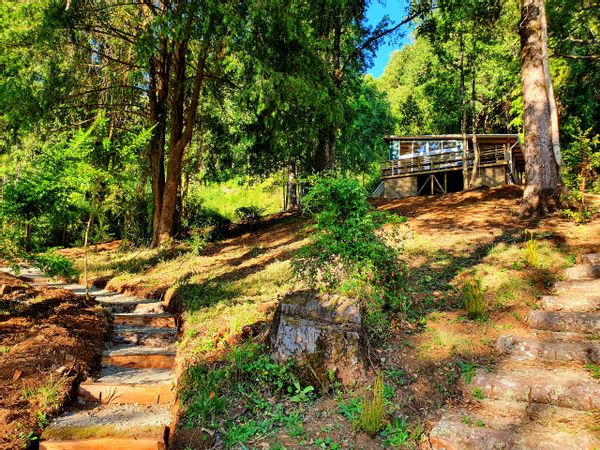 Cabin in the Middle of Forest with River views