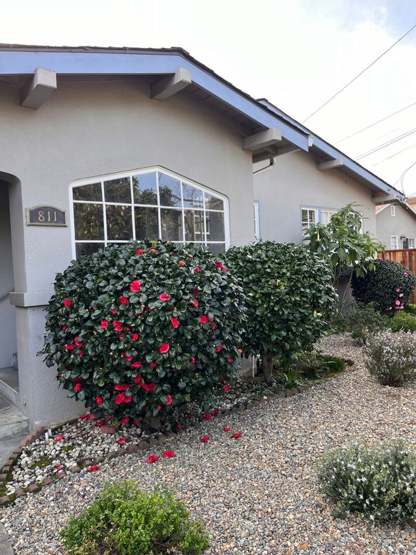 La maison de Adam and Samantha