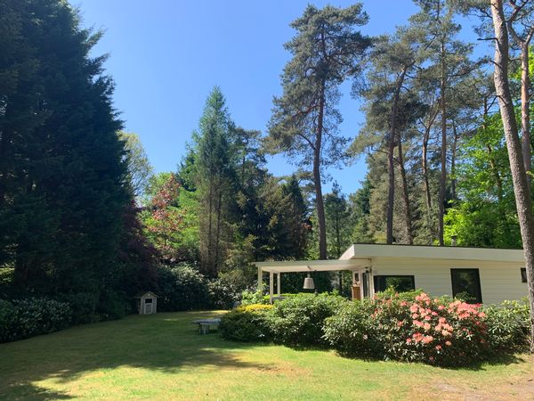 La maison de Michael