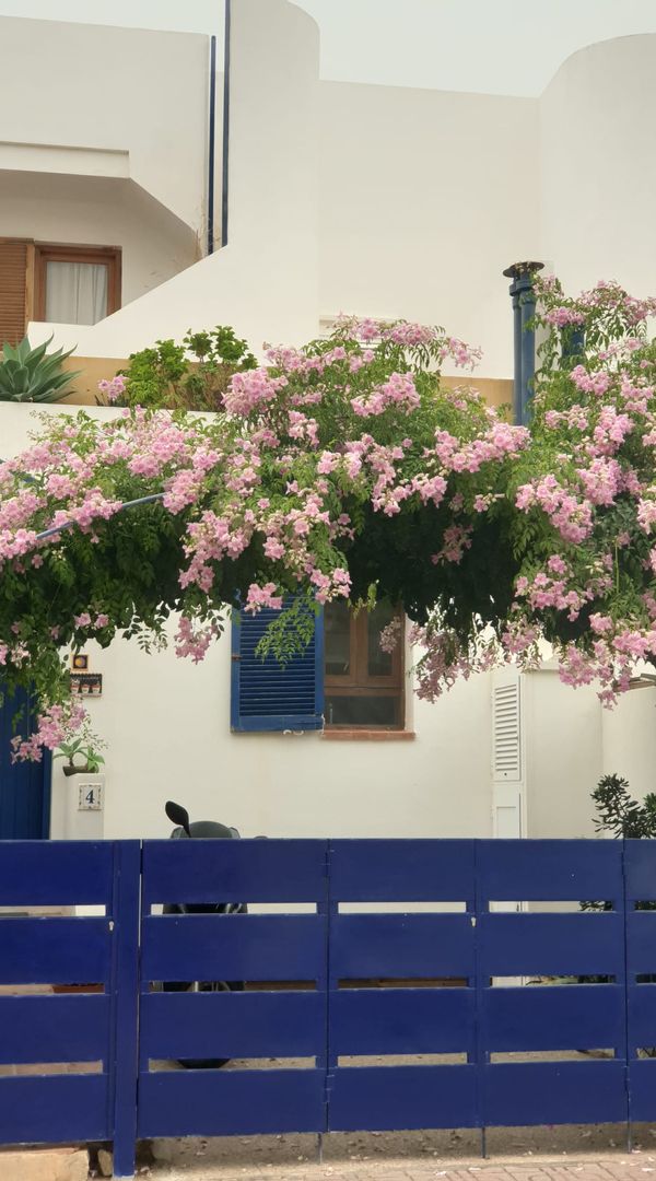La maison de Rosa
