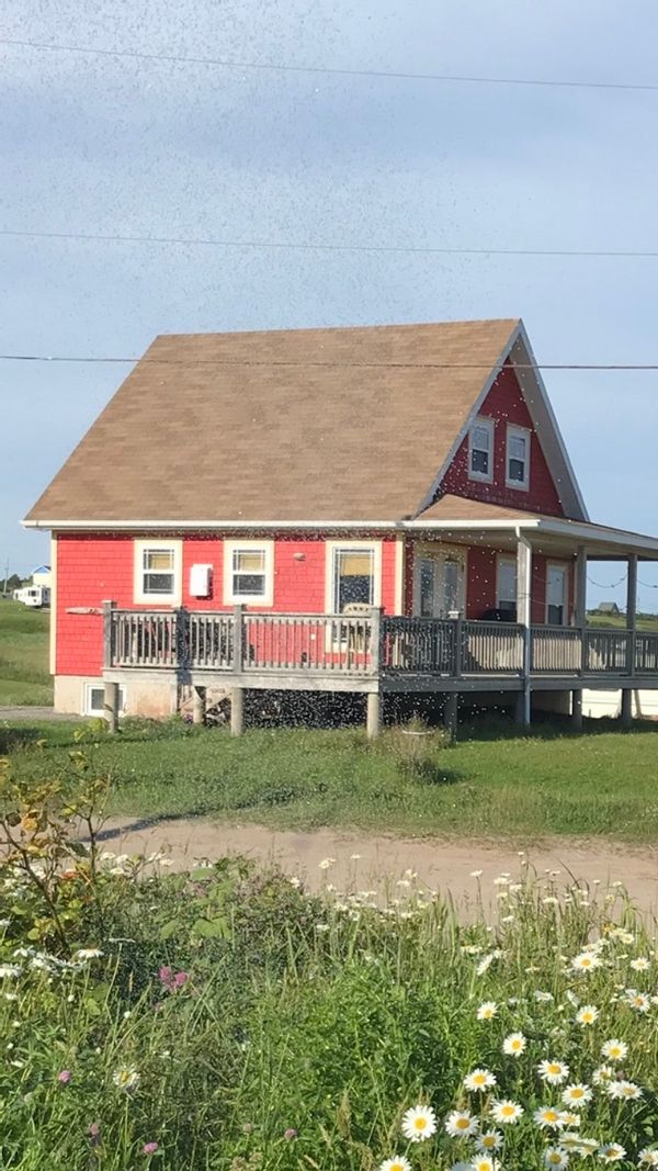 Chalet de la côte