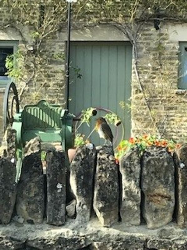La maison de Jo