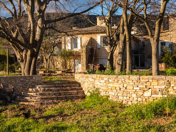 Vieux mas au milieu des vignes