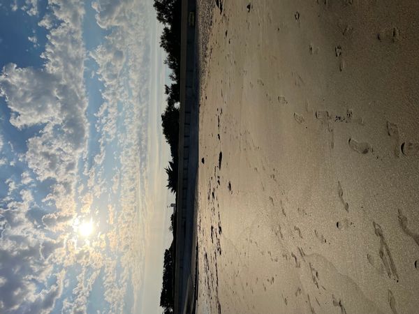A la découverte de l'Ile de Noirmoutier !
