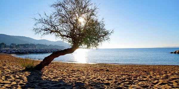 Appartement a 2 pas des plages et port
