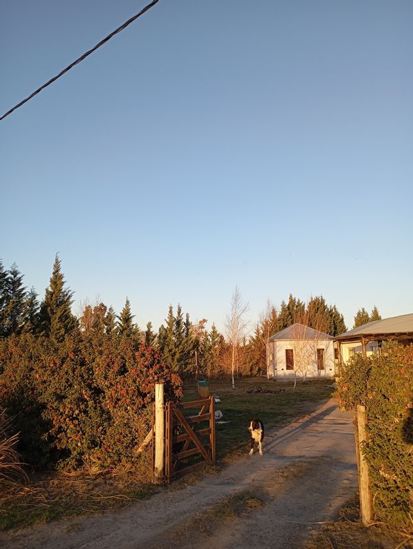 La maison de Octavio