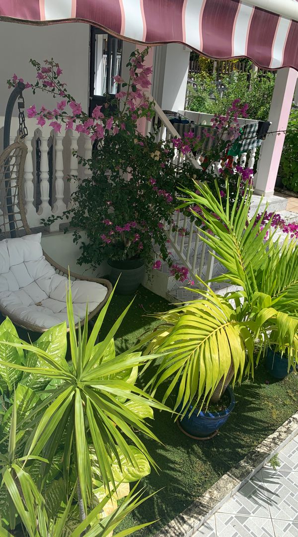 Magnifique maison Martinique