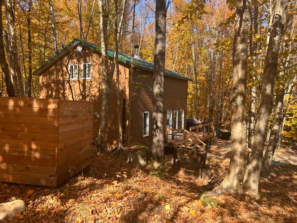 Chalet rustique au cœur de la forêt