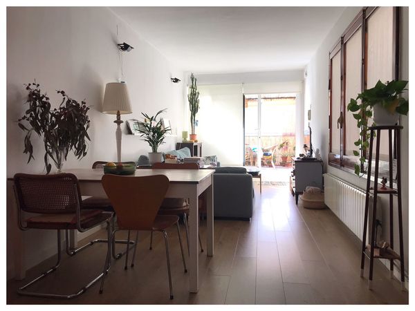 La maison de Marcel, Silvana, Violeta