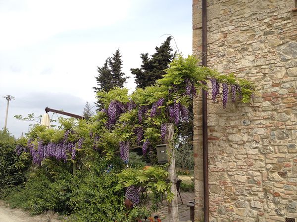 La maison de patrizia