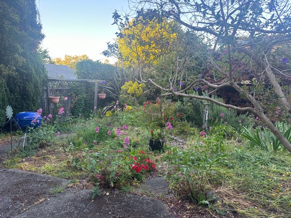 Artist's home near California coast in the heart of the Bay Area
