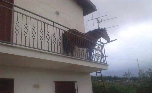 La maison de Рамин