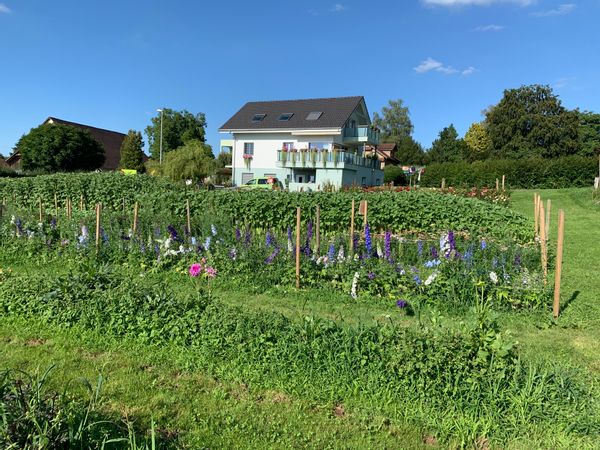 La maison de Lilia & co