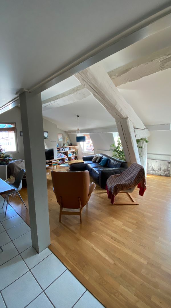 Bel appartement lumineux au cœur de Lyon avec vue.