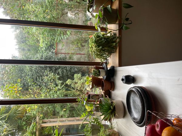 La maison de Fanny est une parenthèse en pleine ville avec son jardin privé agréable.