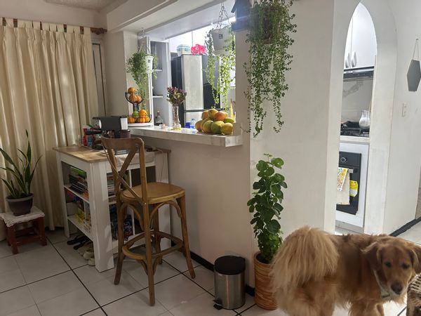 La maison de Fernanda Ismelda