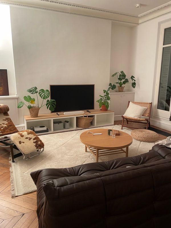 Appartement haussmannien 170m² avec terrasse vue Seine et Île Saint-Louis