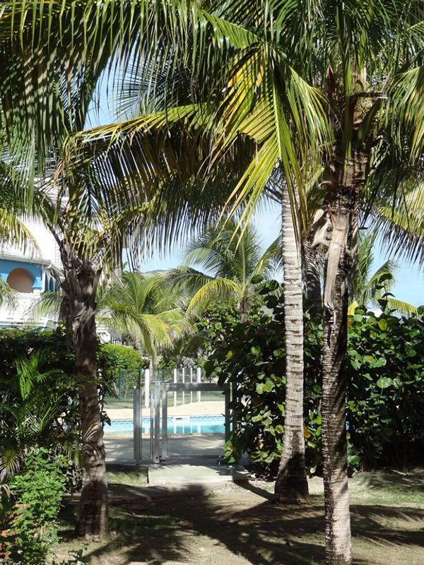 Maison créole face à la plage d'Orient Bay