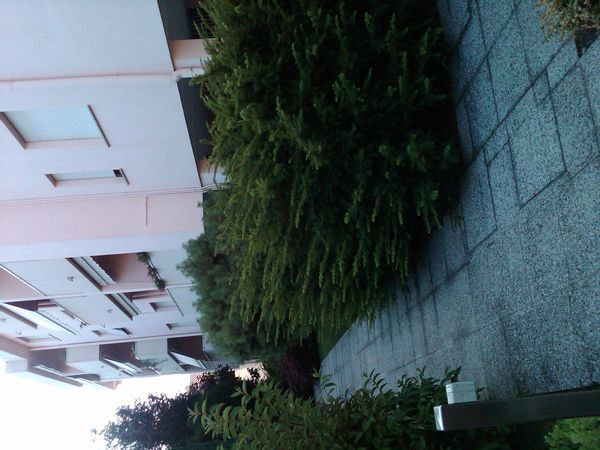 La maison de Daniela