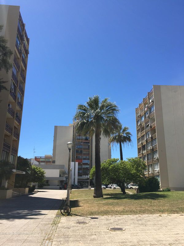 La maison de Luís and Rita