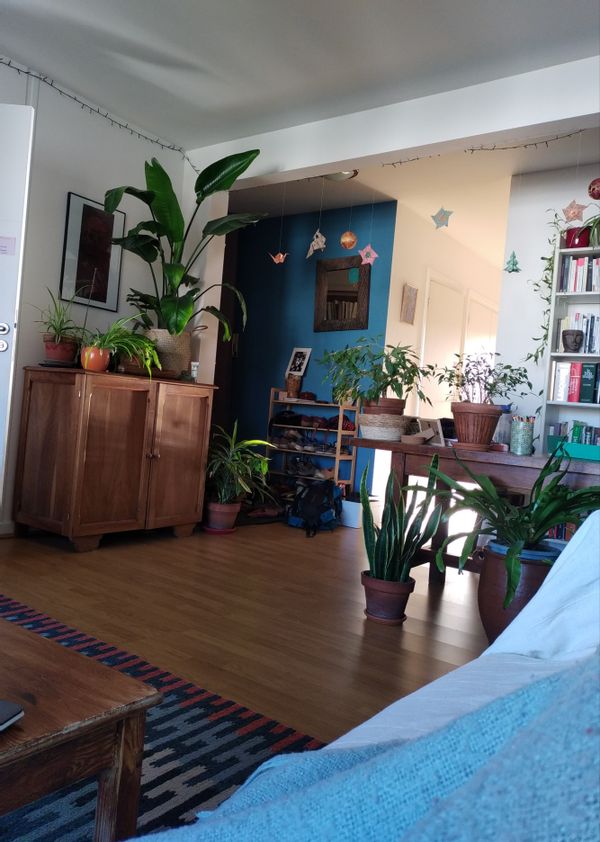 La maison de Caroline, Pierre-Mathieu et Norah