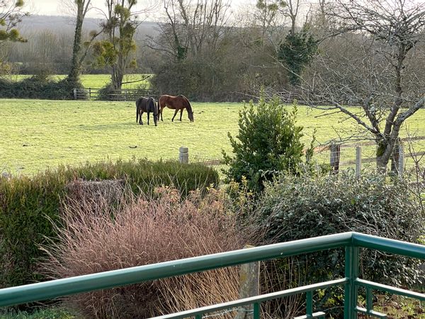 À Condé-sur-Huisne, au cœur du parc naturel régional du Perche, maison 4 personnes dans un village calme avec toutes commodités.