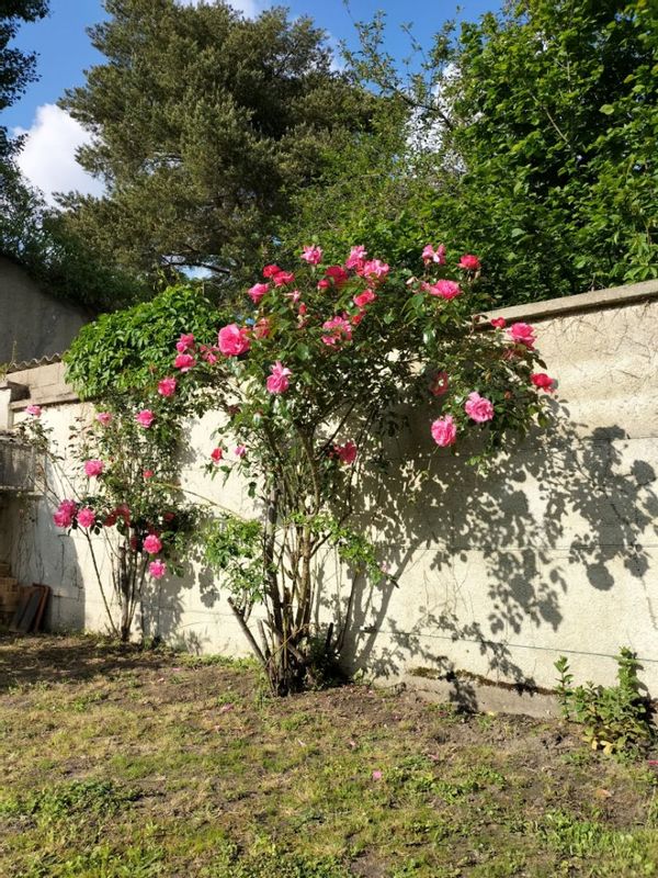 La maison du soleil ☀️