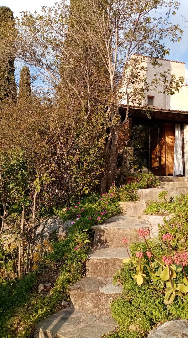La petite maison de Pascale (Haute-Corse). NON DISPO JUIN à SEPT