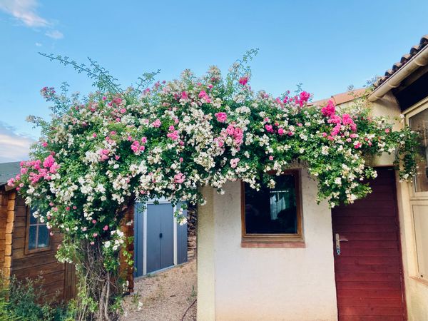 Studio villa colibri