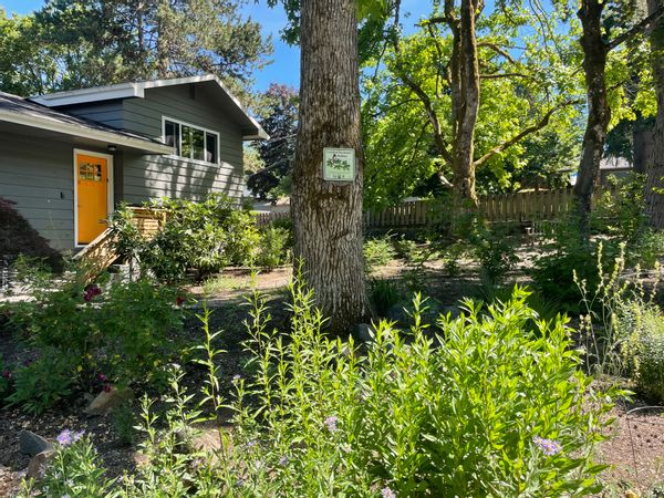 La maison de Doug