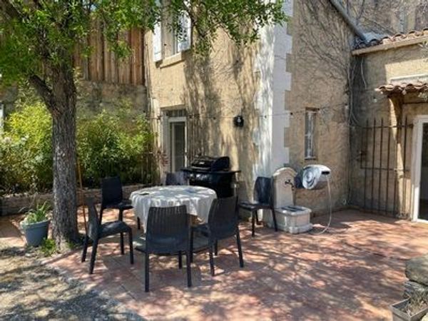 La Mésange et le Pissenlit