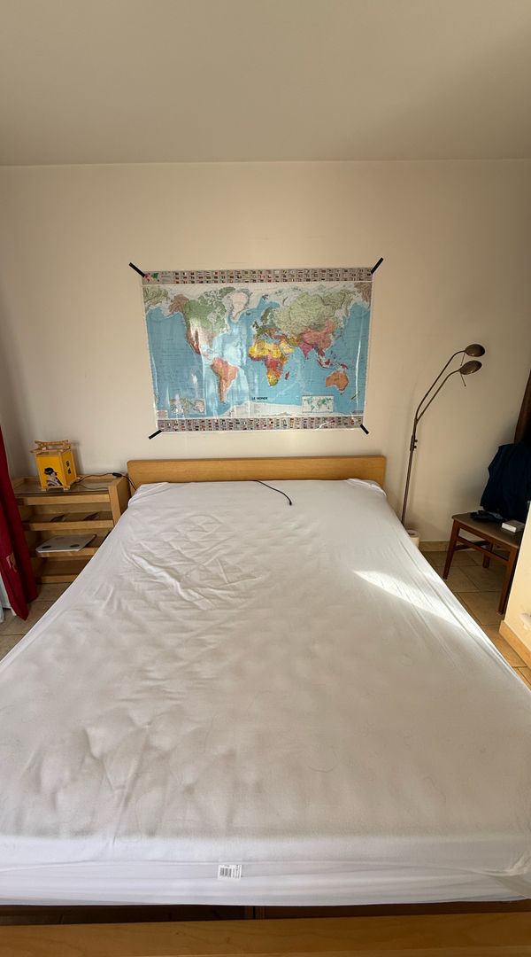 Échange 2 semaines réciproque ou Guest Point – Shenzhen (Shekou/Nanshan) ↔ Chessy Val d’Europe –