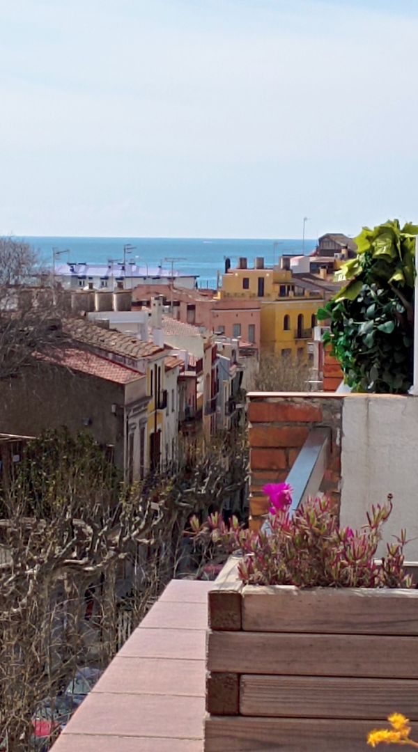 La maison de Alba