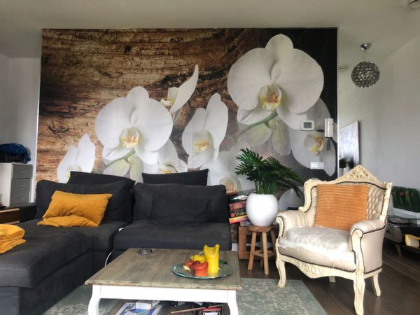 La maison de Sabrina