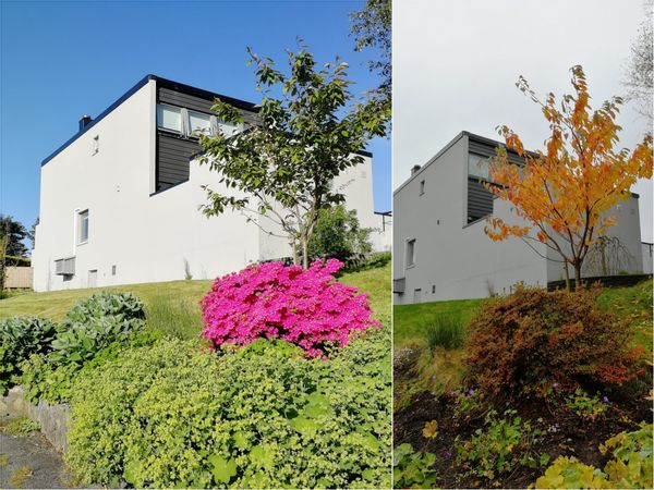 Maison à 15 min du centre de Bergen, Norvège