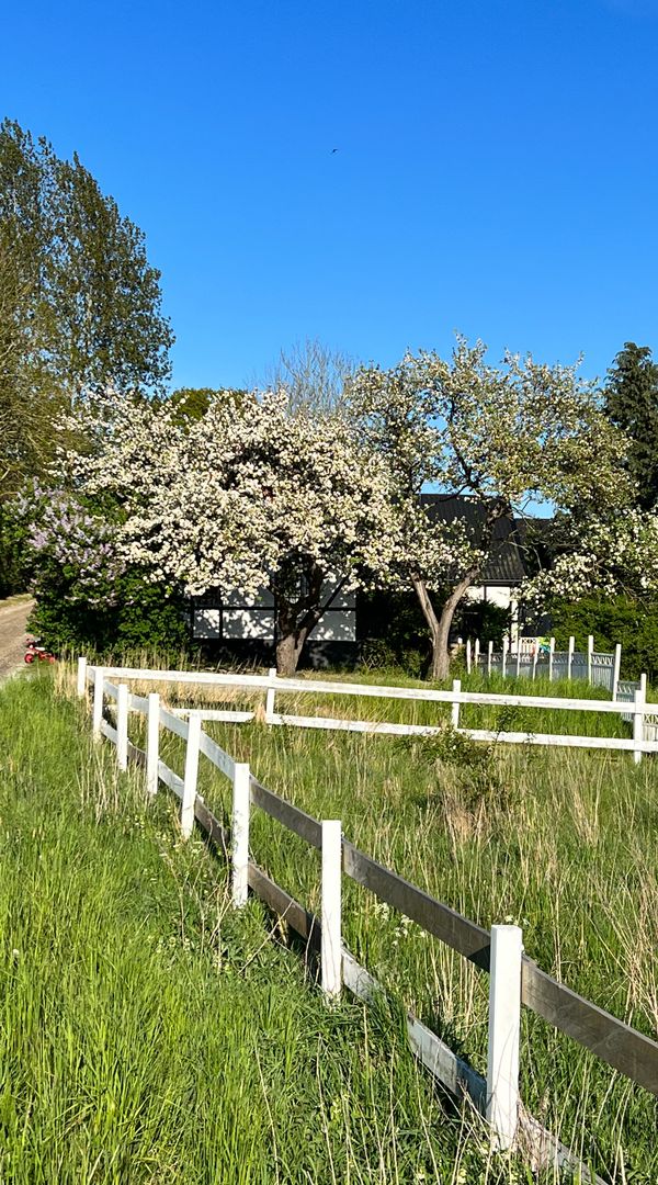 La maison de Anne